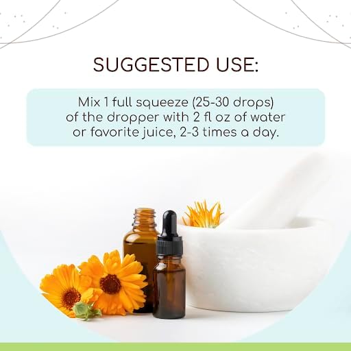 Stinging Nettle Root B120 USDA Organic Tincture | Alcohol-Free Extract, High-Potency Herbal Drops | Certified Organic Stinging Nettle (Urtica dioica) Dried Root (4 oz)