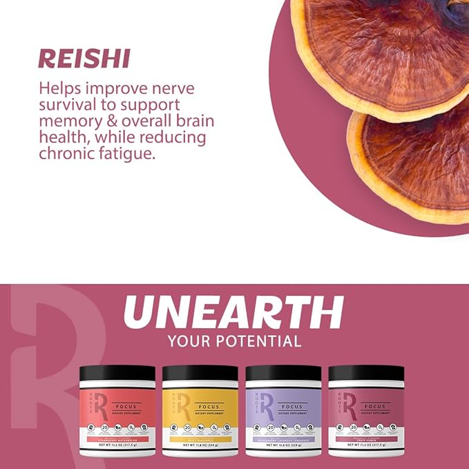 Roots Focus Nootropic Brain Supplement, Spicy Pineapple, Blend of Lion's Mane, Cordyceps, and Reishi Functional Mushrooms with Extended-Release Caffeine, 15 Servings