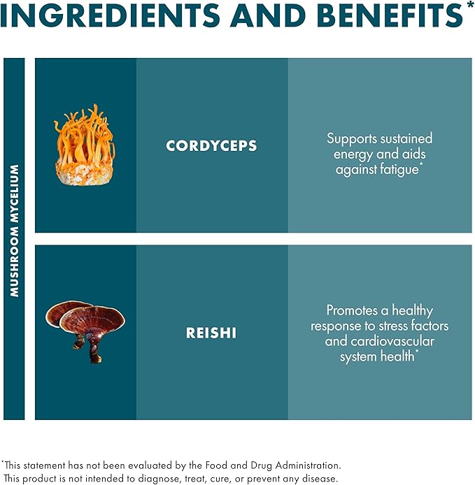 Host Defense CordyChi Extract - Energy & Immune Support Supplement - Cordyceps & Reishi Mushroom Supplement for Relaxation & Respiratory Support - Aids Against Tiredness - 2 fl oz (60 Servings)*