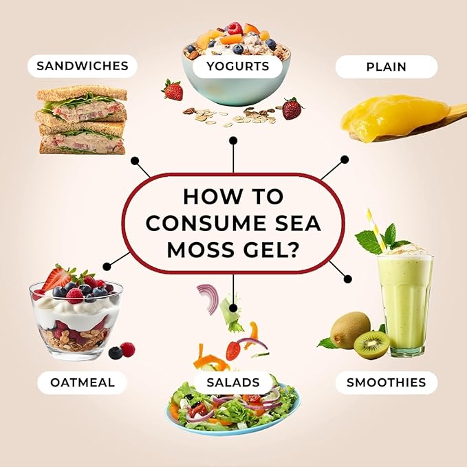 TrueSeaMoss Sea Moss Gel – Made in USA – Wildcrafted Seamoss, Fresh Fruits & Sea Vegetables – Cherry, Pack of 5 (Labels may Vary)