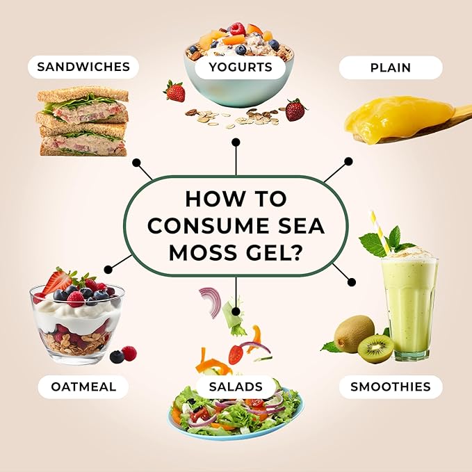 Sea Moss Gel – Made in USA – Wildcrafted Seamoss, Fresh Fruits & Sea Vegetables – Soursop, Pack of 1 (Labels may Vary)