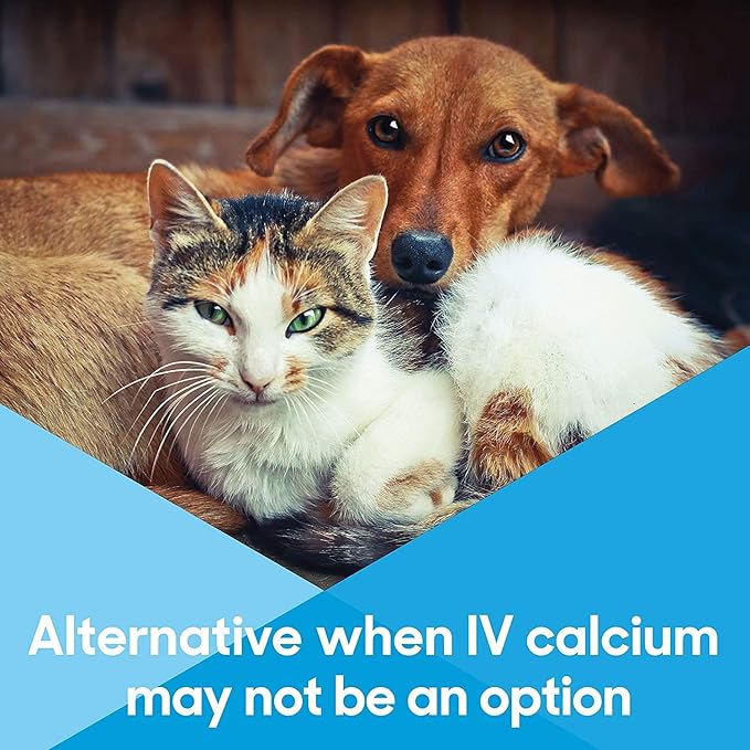 Calcium Now - Oral Calcium for Whelping Dogs (15 ml) - Calcium Supplement for Dog - Breeders Friendly Calcium for Dogs - Lots of Love Pet Products