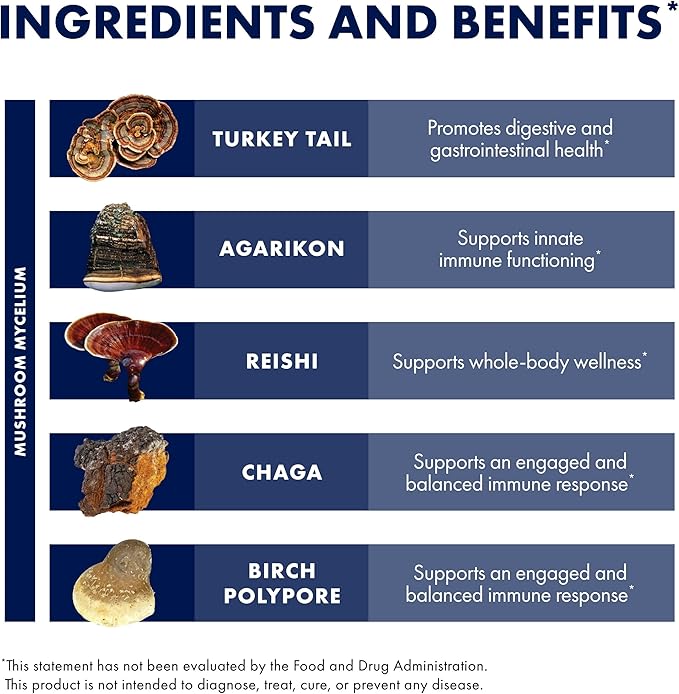 Host Defense MycoShield Throat Spray - Immune Health Support - Dietary Mushroom Supplement with Chaga, Reishi, Turkey Tail & More - On-The-Go Immune Support - Cinnamon Flavor, 2 fl oz (142 Servings)*